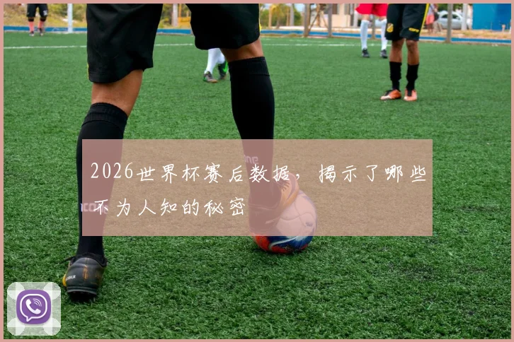2026世界杯赛后数据，揭示了哪些不为人知的秘密