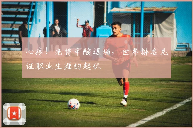 心疼!老将辛酸退场,世界排名见证职业生涯的起伏